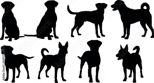 Diverse dog silhouettes collection showcasing various poses and breeds in simple black outline style