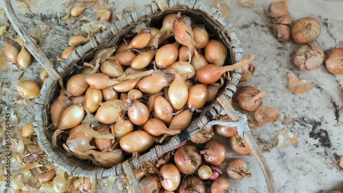 onions 