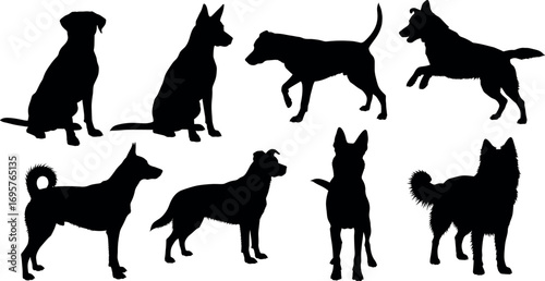 Collection of silhouette dog poses featuring various breeds and active stances