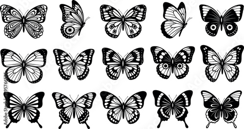 Collection of fifteen detailed butterfly silhouettes various poses and wing patterns naturalistic insect art