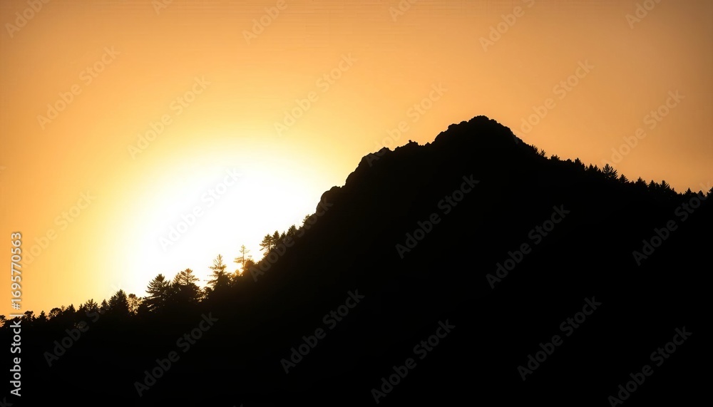 Fototapeta premium Dark, jagged silhouette of a dense forest against a bright sky, light, evening