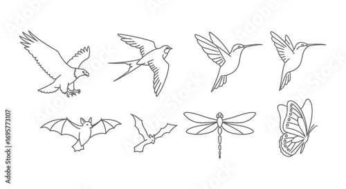 Line art illustration of various flying animals, including birds, insects, and a bat.