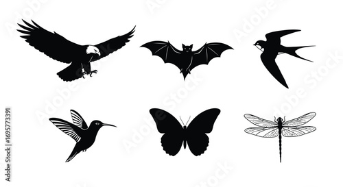 Silhouette image of various flying animals including an eagle, bat, swallow, hummingbird, butterfly, and dragonfly.