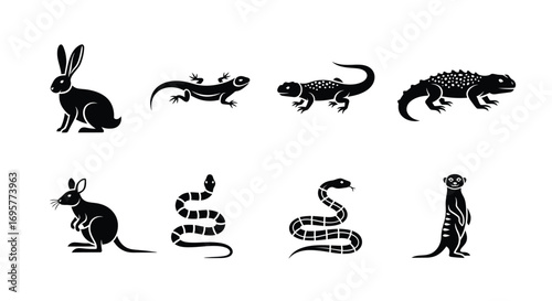 A collection of black silhouette icons representing various animals, including a rabbit, lizards, a kangaroo, snakes, and a meerkat.