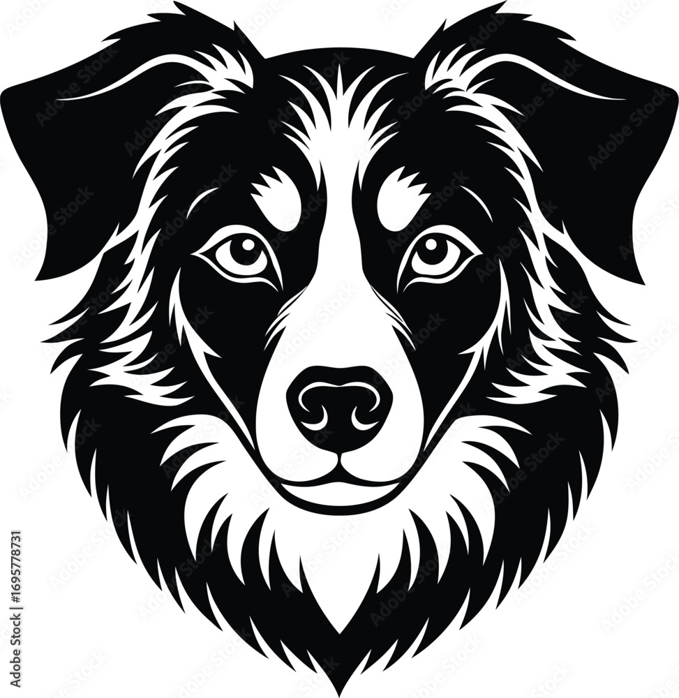 Fototapeta premium Vector art of a striking black and white vector illustration of a border collie dogs face, featuring its distinctive markings and alert expression, isolated on a