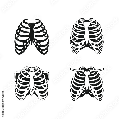 Rib Cage Anatomy Skeletal Structure Illustrations for Educational Use