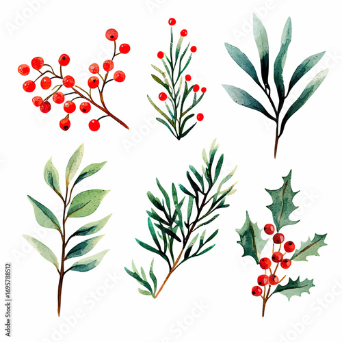 Watercolor botanical collection with red berries and green leaves branches illustration set of holly, eucalyptus, and mistletoe festive plant elements for holiday design and decoration