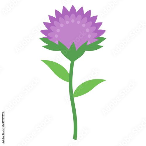  stokesia divinity flower vector on white