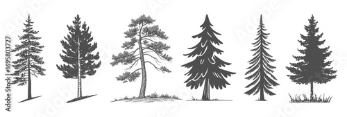 set of trees sillhouette on transparent background