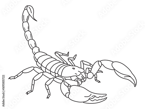Hand-drawn line of scorpion, abstract scorpion flat minimalist logo design, Vector outline illustration of a scorpion 