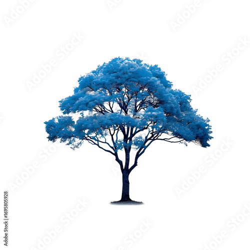 Trees, transparent background, the relaxing shade of nature