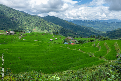Rice terraced fields on Ha Giang Loop  and  blue cloudy sky  in the mountains near Ha Giang in northern Vietnam