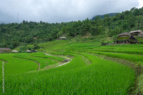 Rice terraced fields on Ha Giang Loop  and  blue cloudy sky  in the mountains near Ha Giang in northern Vietnam