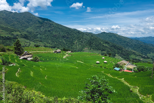 Rice terraced fields on Ha Giang Loop  and  blue cloudy sky  in the mountains near Ha Giang in northern Vietnam