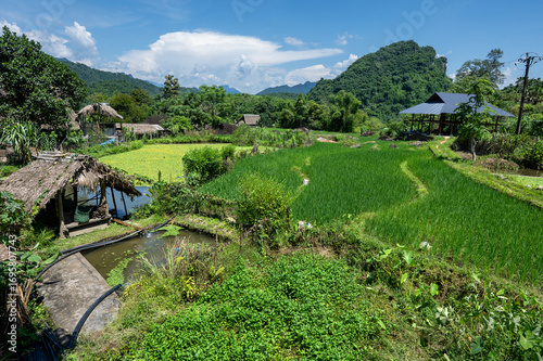 Rice terraced fields on Ha Giang Loop  and  blue cloudy sky  in the mountains near Ha Giang in northern Vietnam