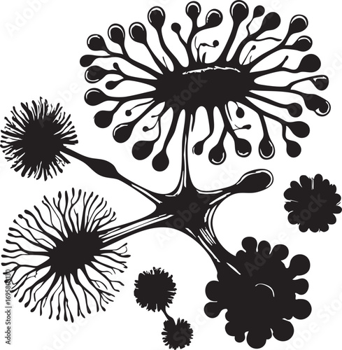Black and white abstract vector art: organic shapes and floral elements eps silhouette