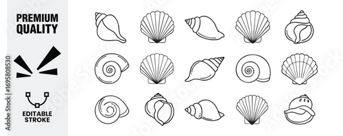 Seashell icon set a collection of editable stroke vector illustrations featuring various sea shells, each with unique shapes and textures, perfect for coastal designs