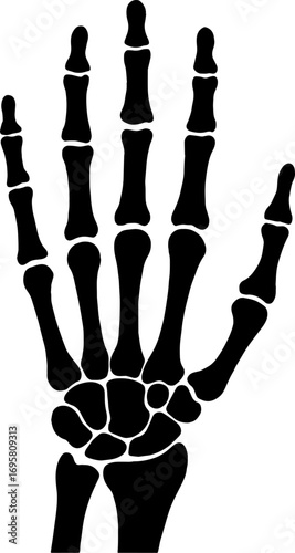 black hand skeleton bones anatomy clip art preview