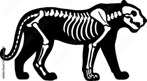 Silhouette of Tiger Skeleton ? Wild Animal Anatomy Vector