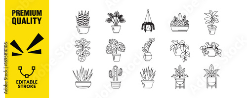 Collection of various indoor plants snake plant, parlor palm, hanging plant, succulent arrangement, zz plant, jade plant, monstera, orchid, pothos, and more