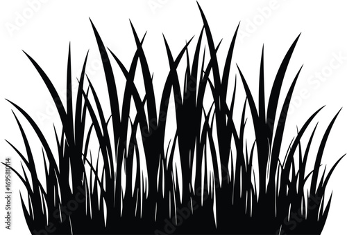 grass line art clean silhouette vector illustration