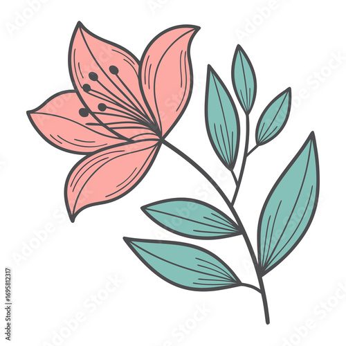 Hand drawn pink lily flower with green leaves on a stem