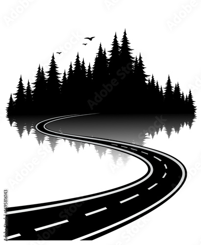 Winding road with coniferous forest.