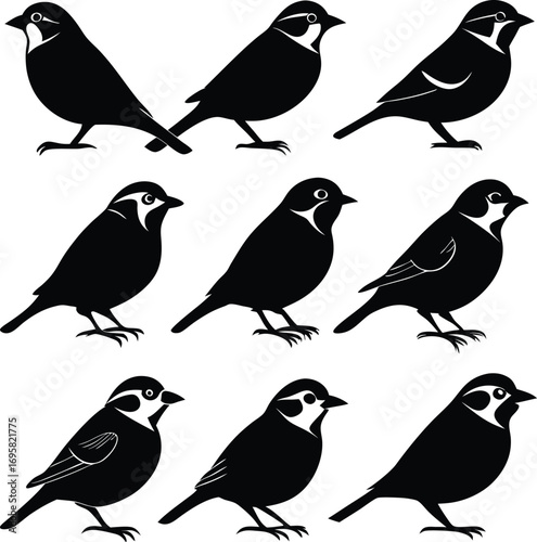 Collection of nine black silhouette sparrows in various poses and angles bird