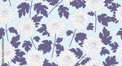 Beautiful blue background decorated with white chrysanthemums and dark purple leaves a stunning floral pattern design