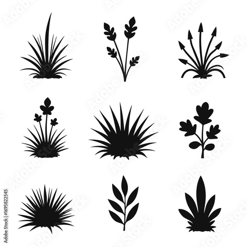 Collection of nine black plant silhouettes on white Keywords: grass, bush, plant, foliage