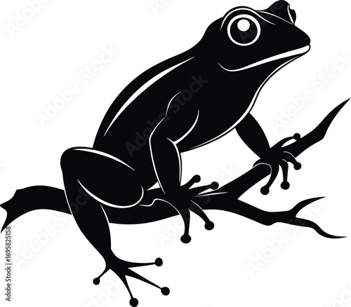 Black Silhouette of a Frog Perched on a Tree Branch with White Highlights amphibian