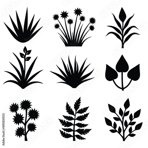 Set of nine black silhouettes of botanical elements Keywords: plant, leaf, bush, grass
