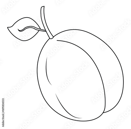 Cute cartoon hand drawn vector plum outline.