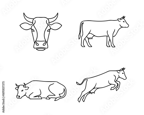 Set of four simple line drawings featuring cows in various positions. Top left shows a cow's head