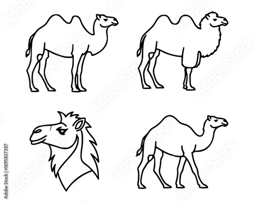 Four black and white camel icons are displayed, each with a unique design. The top left and bottom right