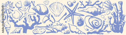 Coastal boho shell illustration with marine elements - blue seashells, starfish, coral and ocean algae on white bg. Hand drawn beach collection for nautical designs or seaside decorative artwork.