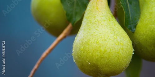 A close-up shot of a juicy pear, glistening with fresh water droplets.