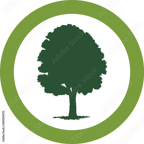 Green tree vector illustration of nature eco design with leaves and branches