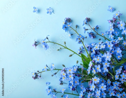 Blue Forget Me Nots on Light Blue Background