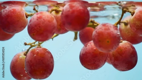 red apples on a branch