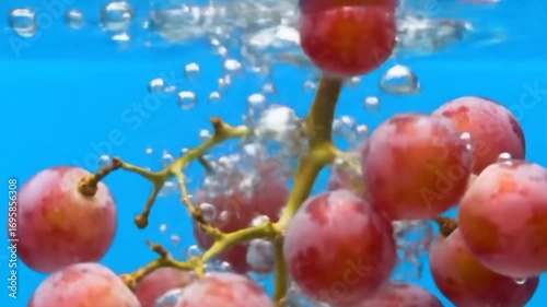 red apples on a branch in water