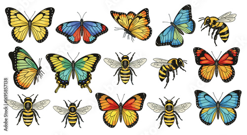 Illustration showing a collection of colorful butterflies and honey bees
