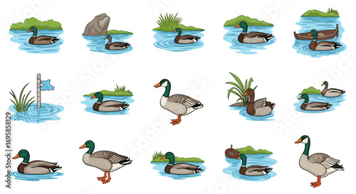 Collection of cartoon ducks and geese in various water environments