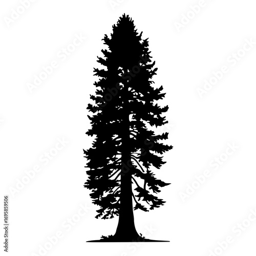 Majestic evergreen tree silhouette evokes nature's grandeur and forest serenity for design projects