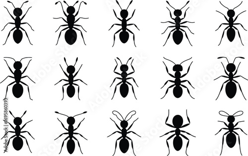 Collection of diverse ant silhouettes on a white background for insect study