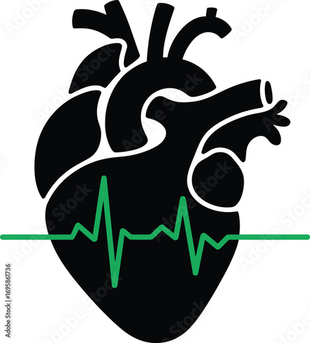 Anatomical Heart with ECG Line Illustration for Medical and Healthcare Concepts Design