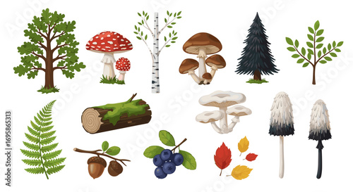 Illustration of various forest elements including trees and mushrooms