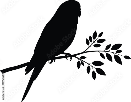 Silhouette of a budgie bird perched on a leafy branch
