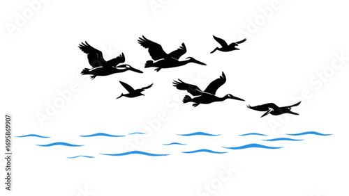 Pelican birds flying over ocean waves vector illustration wildlife silhouette art