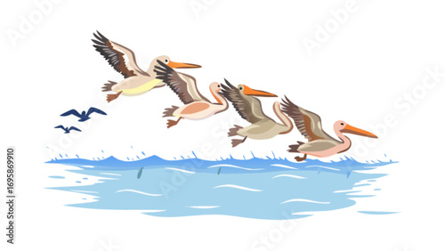 Pelicans flying over the ocean water illustration vector wildlife bird watching nature view